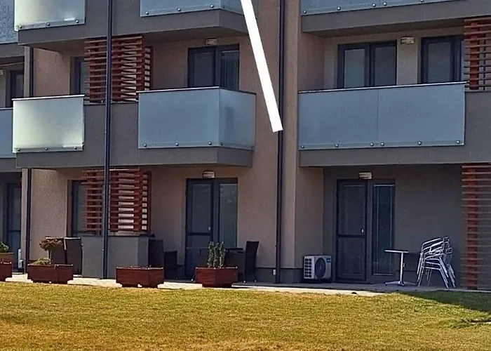 Ellis Подгайска